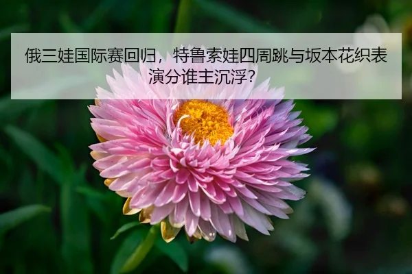 e-san-wa-guo-ji-sai-hui-gui-te-lu-suo-wa-si-zhou-tiao-yu-ban-ben-hua-zhi-biao-yan-fen-shui-zhu-chen-fu-3-236.jpg