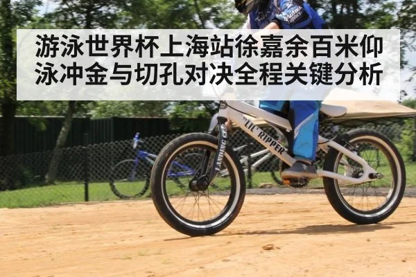 游泳世界杯上海站徐嘉余百米仰泳冲金与切孔对决全程关键分析