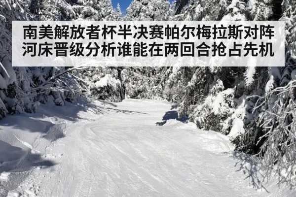 南美解放者杯半决赛帕尔梅拉斯对阵河床晋级分析谁能在两回合抢占先机